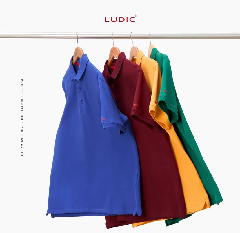 LUDIC