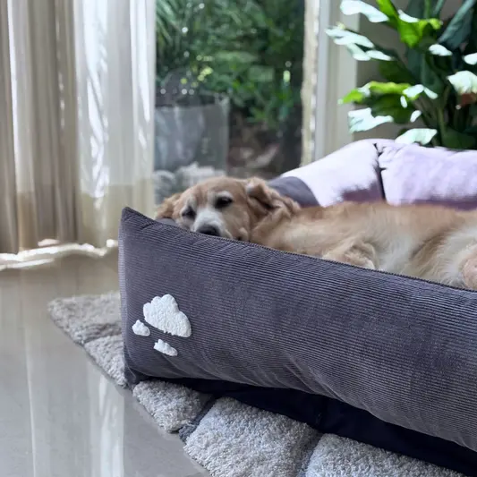 PoochMate